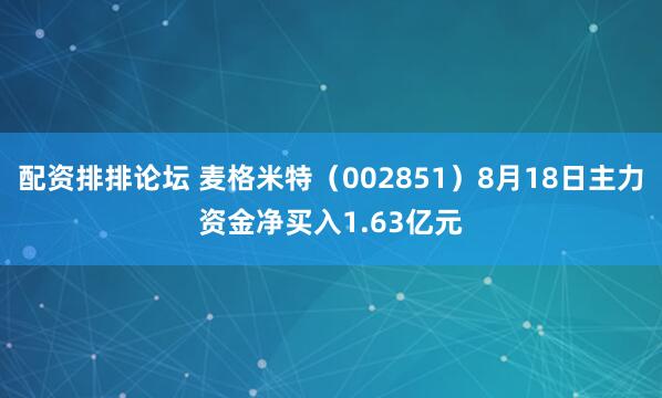 配资排排论坛 麦格米特（002851）8月18日主力资金净买入1.63亿元