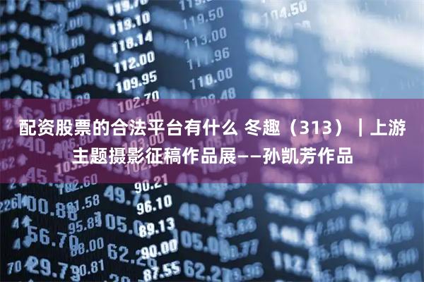 配资股票的合法平台有什么 冬趣（313）｜上游主题摄影征稿作品展——孙凯芳作品