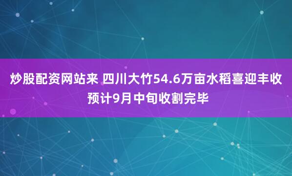炒股配资网站来 四川大竹54.6万亩水稻喜迎丰收 预计9月中旬收割完毕